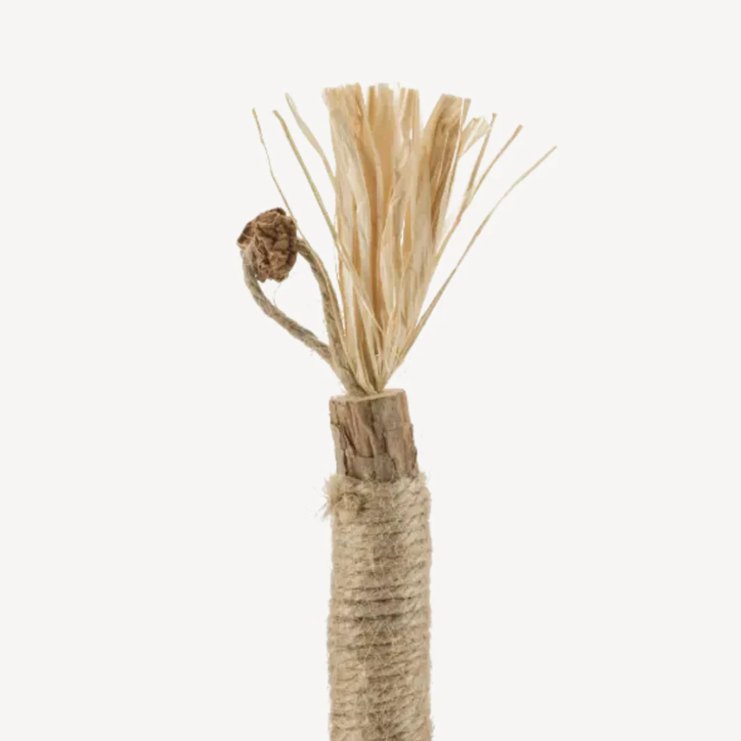 Comfora Pure Silvervine Dental Sticks