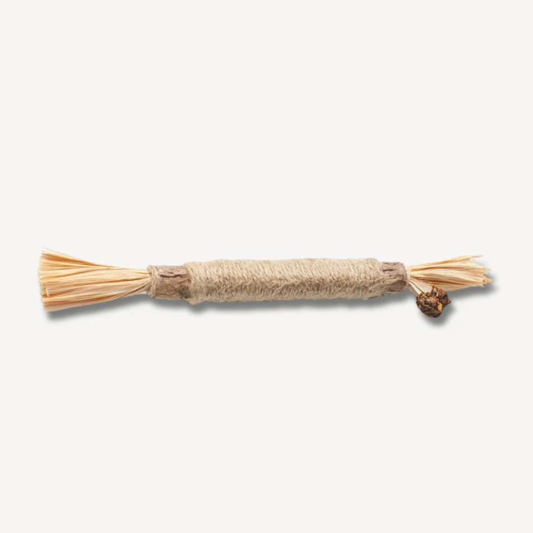 Comfora Pure Silvervine Dental Sticks