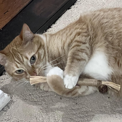 Comfora Pure Silvervine Dental Sticks