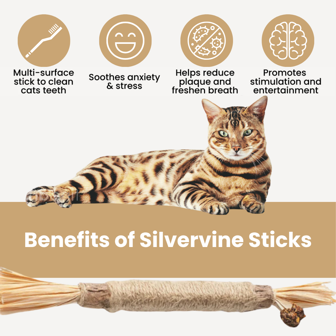 Comfora Pure Silvervine Dental Sticks