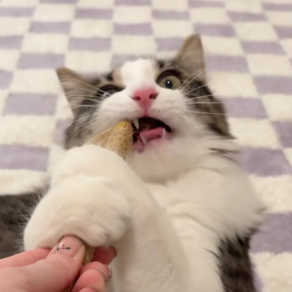 Comfora Pure Silvervine Dental Sticks