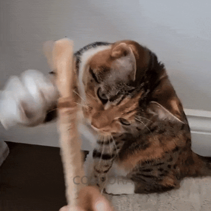 Comfora Pure Silvervine Dental Sticks